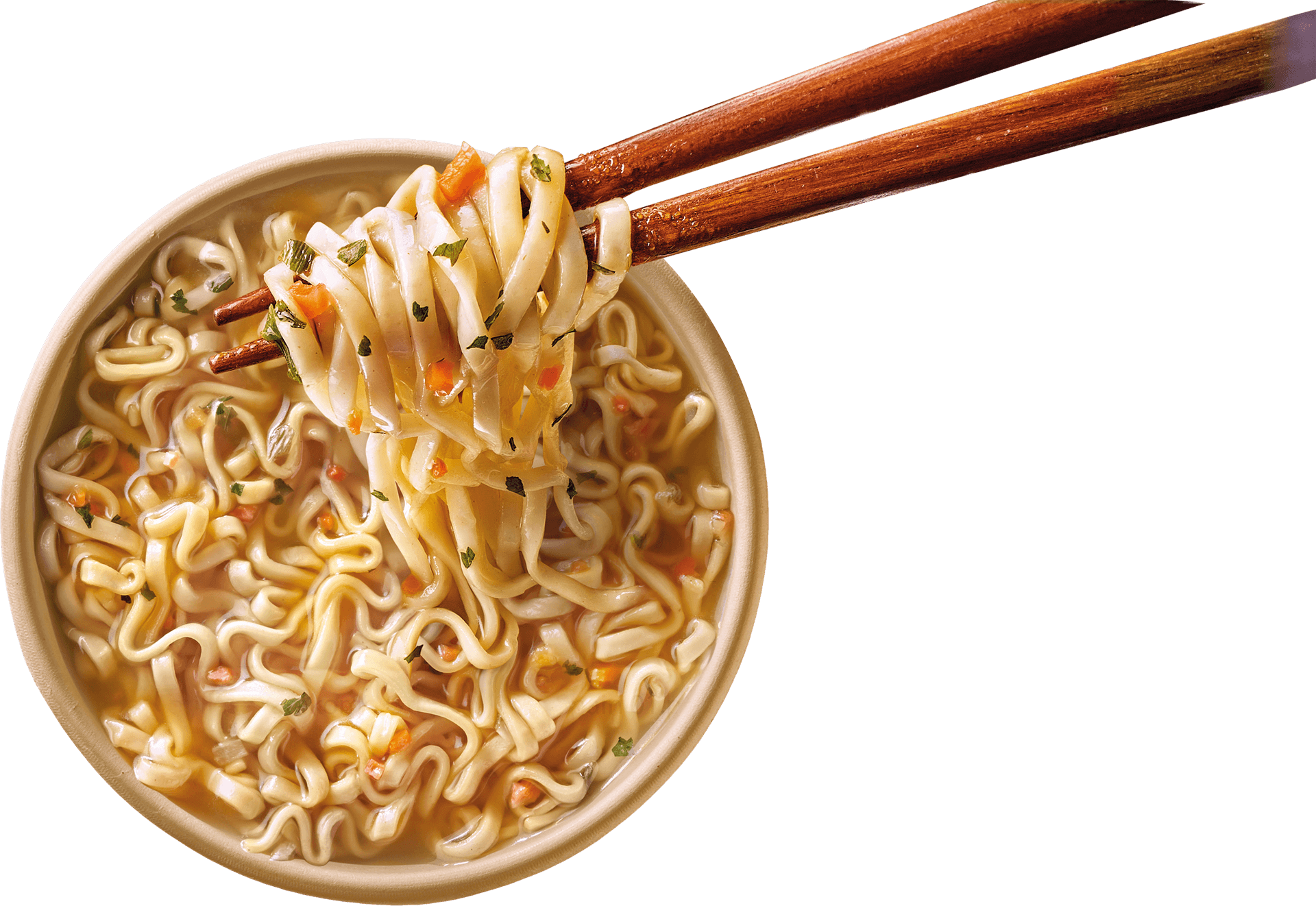 Saikebon noodles